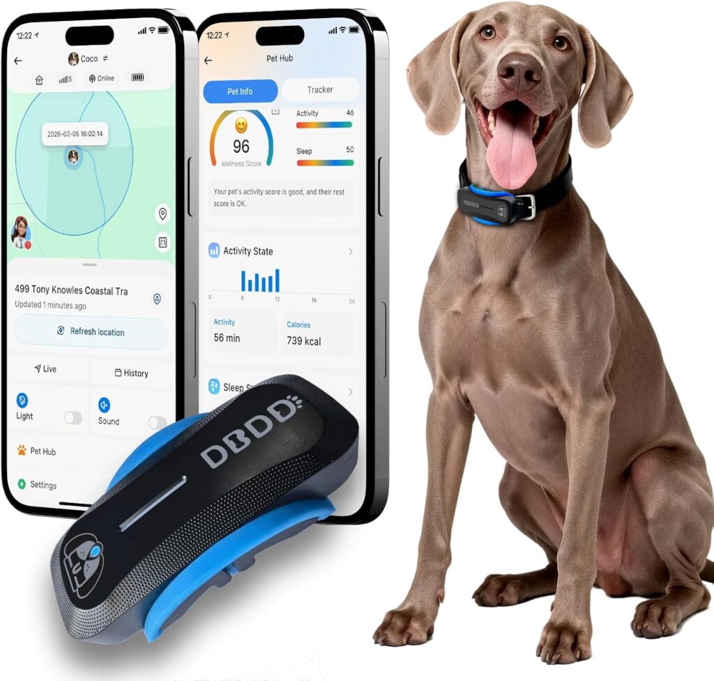 DBDD AI GPS Tracker for Dogs (40lbs+), Real Time Location and AI Vet Health Management, Electronic Fence, Waterproof, iOS and Android Universal（Black）