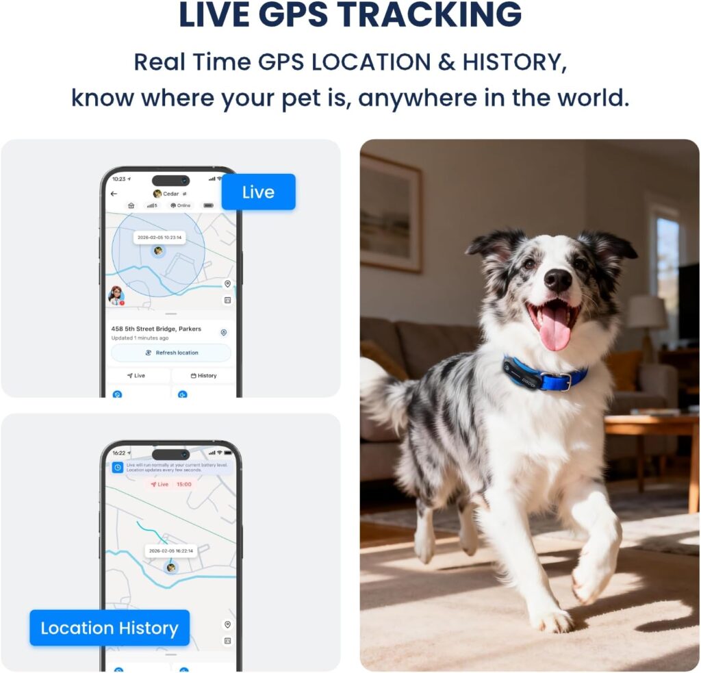 DBDD AI GPS Tracker for Dogs (40lbs+), Real Time Location and AI Vet Health Management, Electronic Fence, Waterproof, iOS and Android Universal（Black）