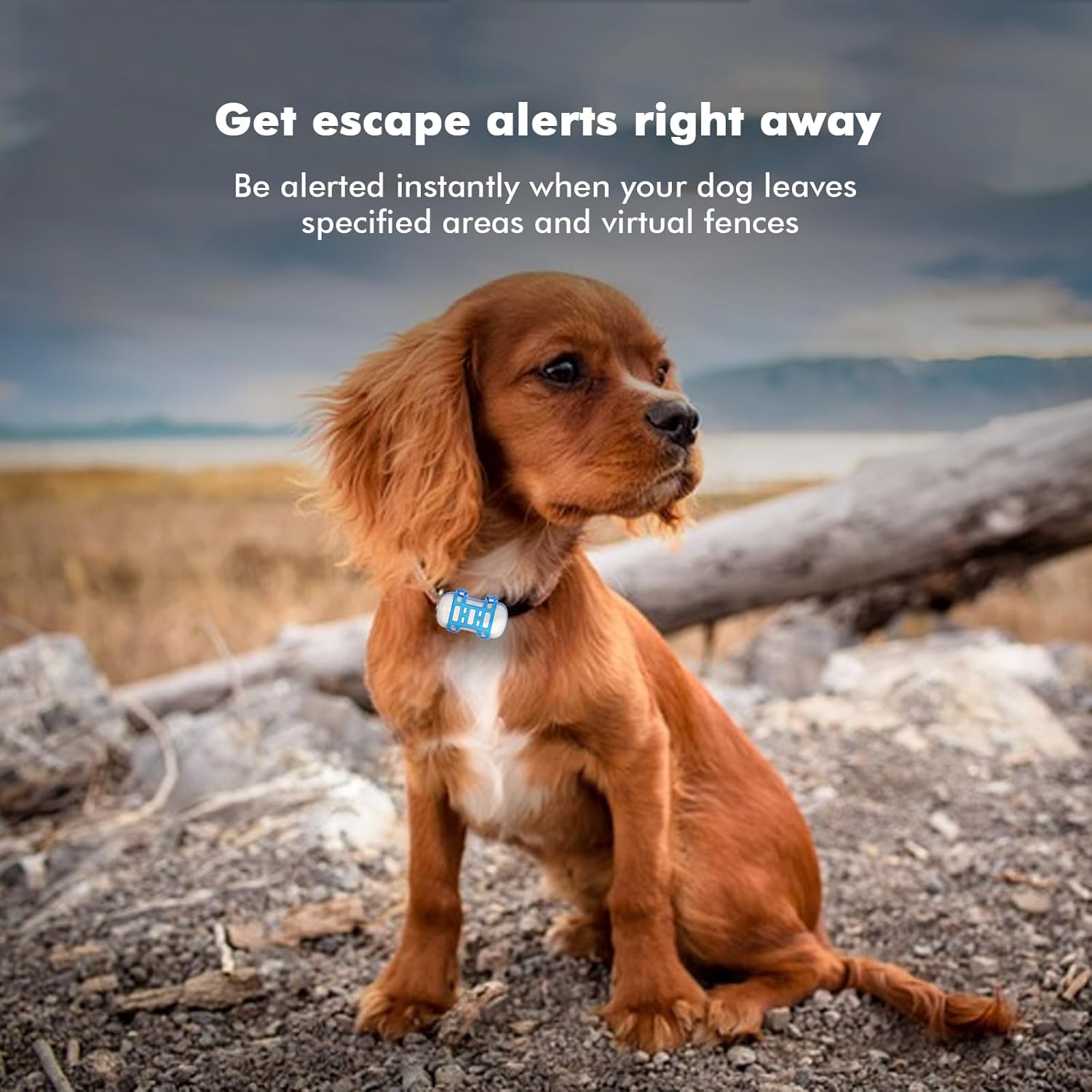 GPS Tracker for Dogs, 4G Dog Tracker, Time-Tracking, Virtual Fence, 100% Waterproof Pet Tracker, Tracking Device for Runaway Cats