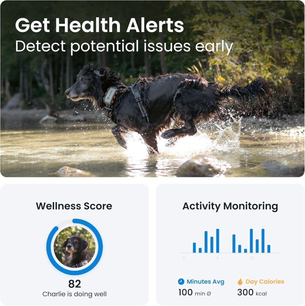 tractive Smart Dog Tracker XL Adventure | Month Battery | Real-Time GPS Tracking | Escape  Health Alerts | Vitals Monitoring | Market Leader