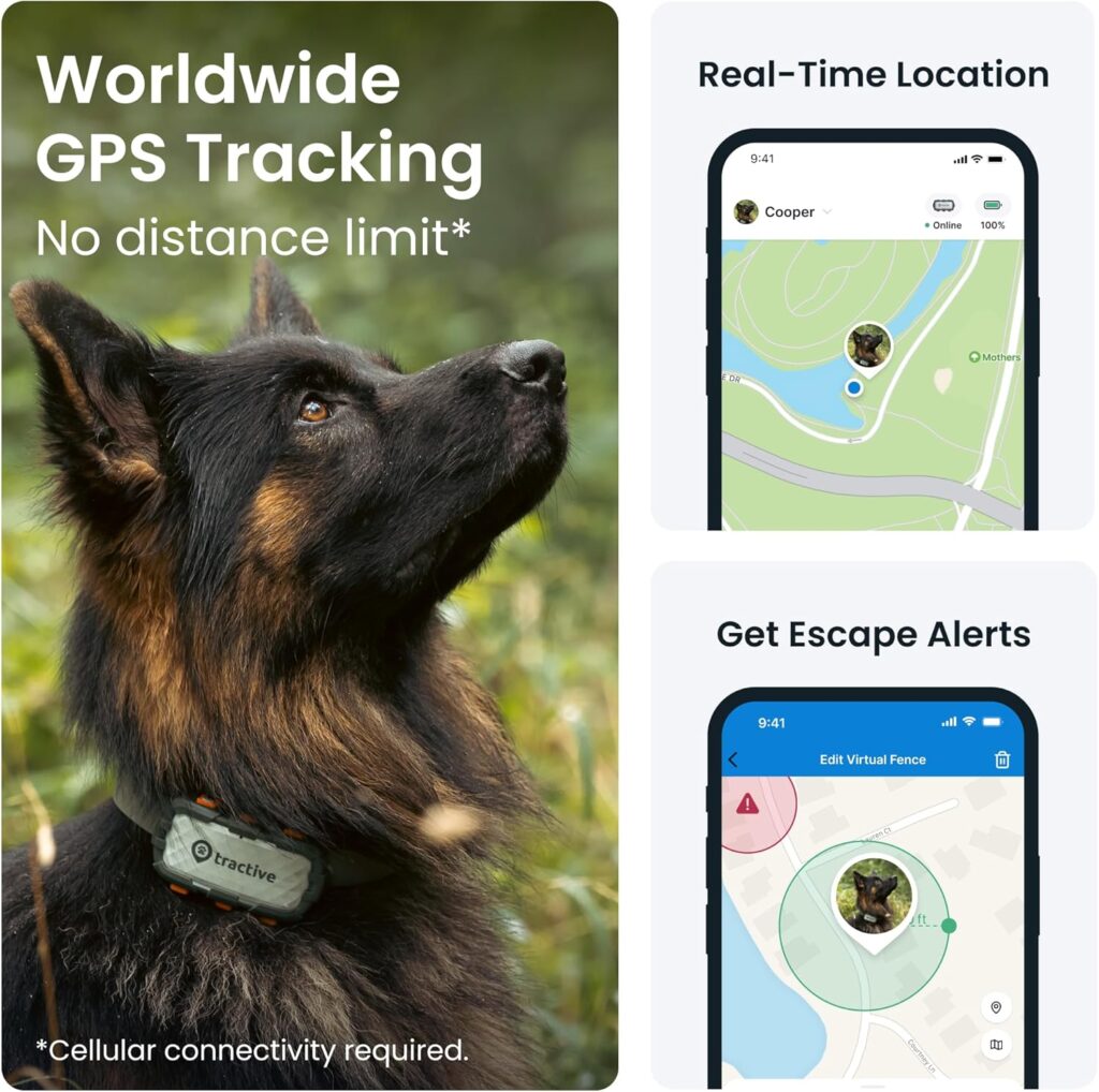 tractive Smart Dog Tracker XL Adventure | Month Battery | Real-Time GPS Tracking | Escape  Health Alerts | Vitals Monitoring | Market Leader